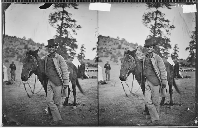 Stereograph of Fred W. Loring standing beside his mule in Prescott in 1871