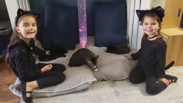 Visitors sitting beside resting cats in the Purrrfect SiP lounge.