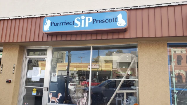 The Purrrfect SiP Prescott storefront and entrance at 221 W Gurley Street.