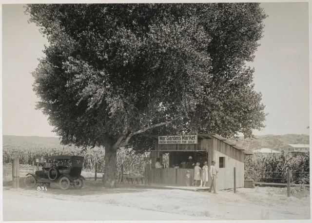 People at a Prescott war garden vegetable market beside a car and a large tree